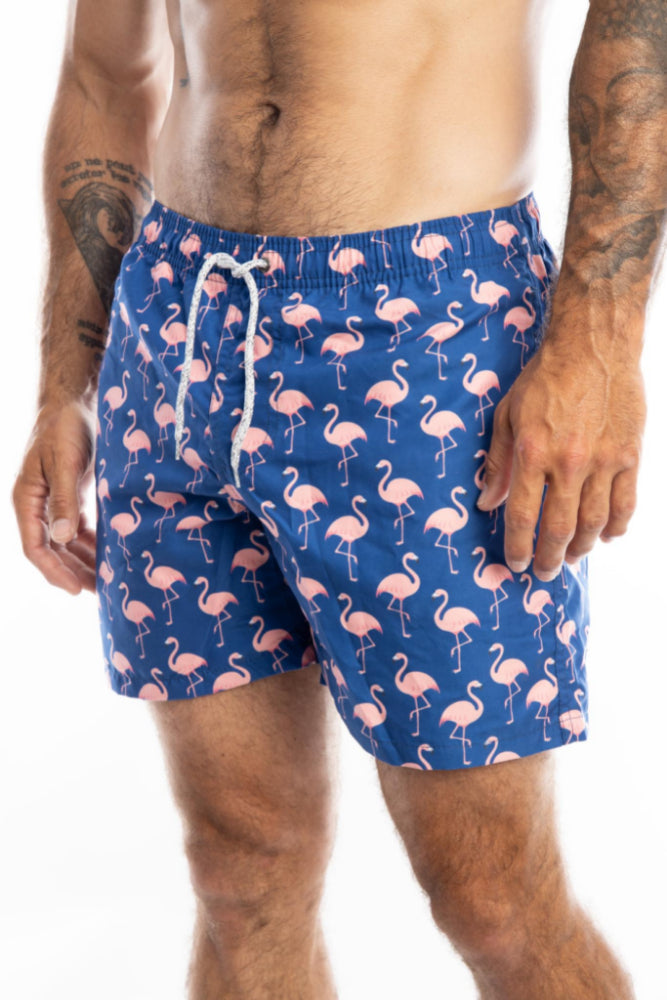 Men's swimsuit - Flamingo